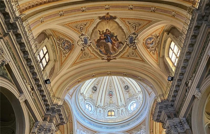 Torino D